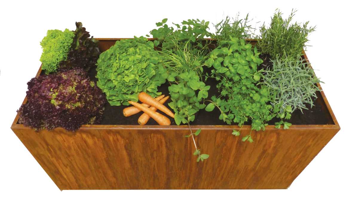 Pflanzeinfassung 2000