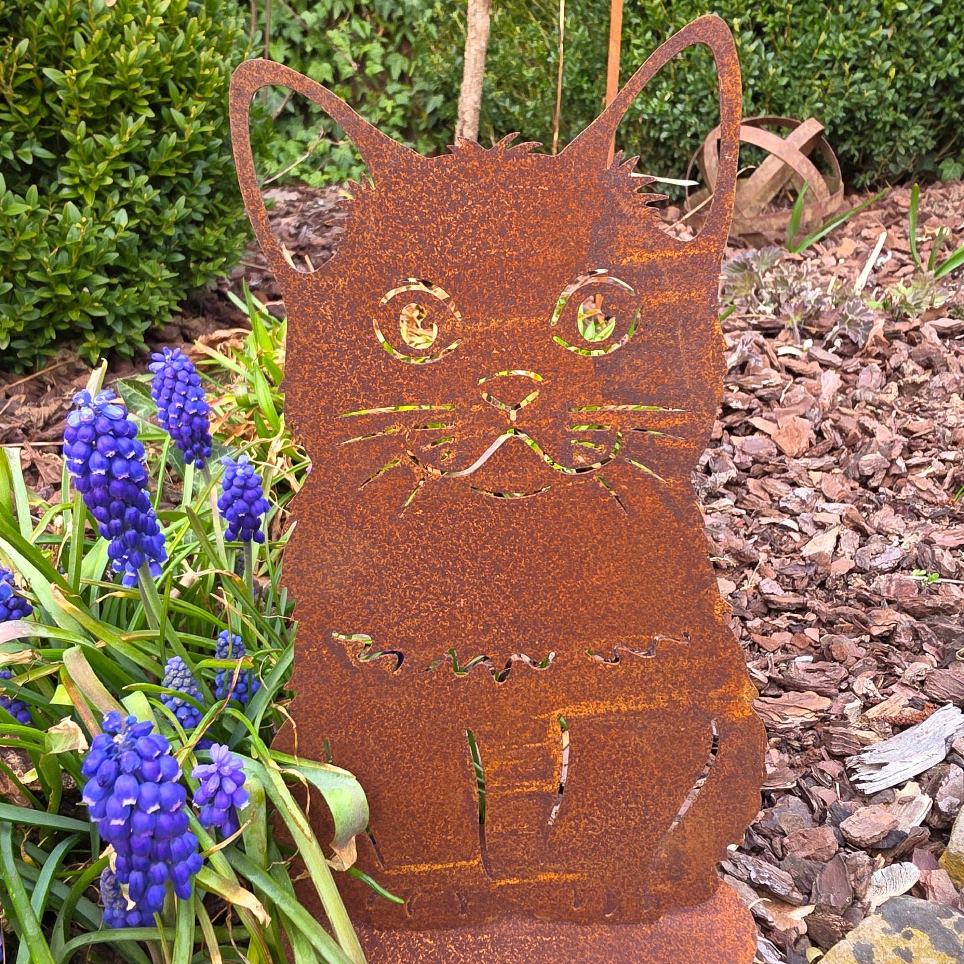 Katze Mona