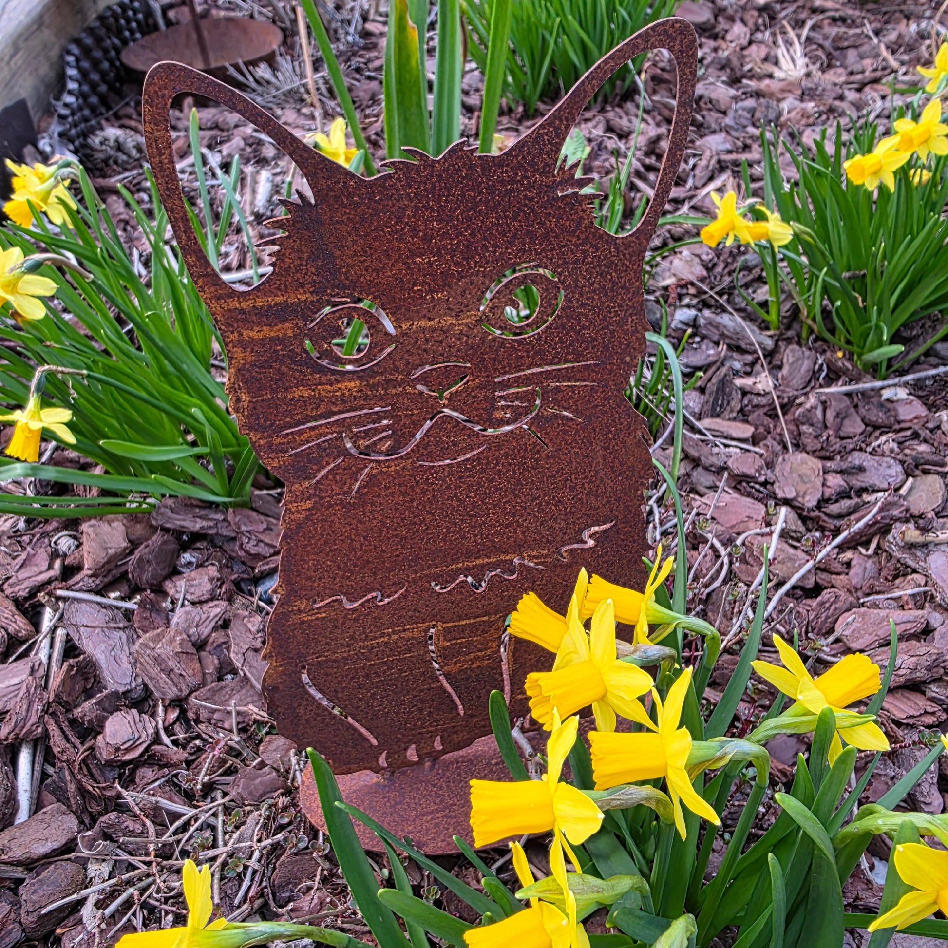 Katze Mona