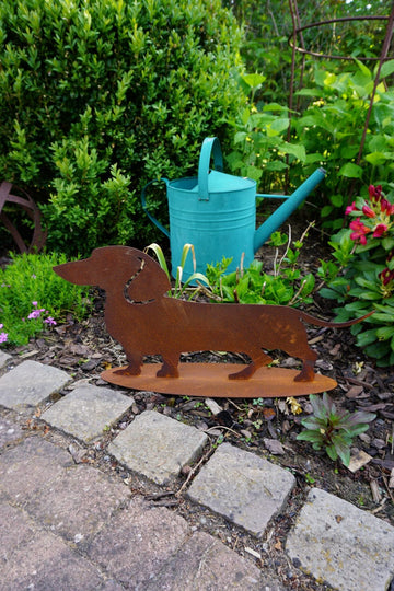 Dachshund "Waldi"