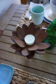 Water lily bloom for placing