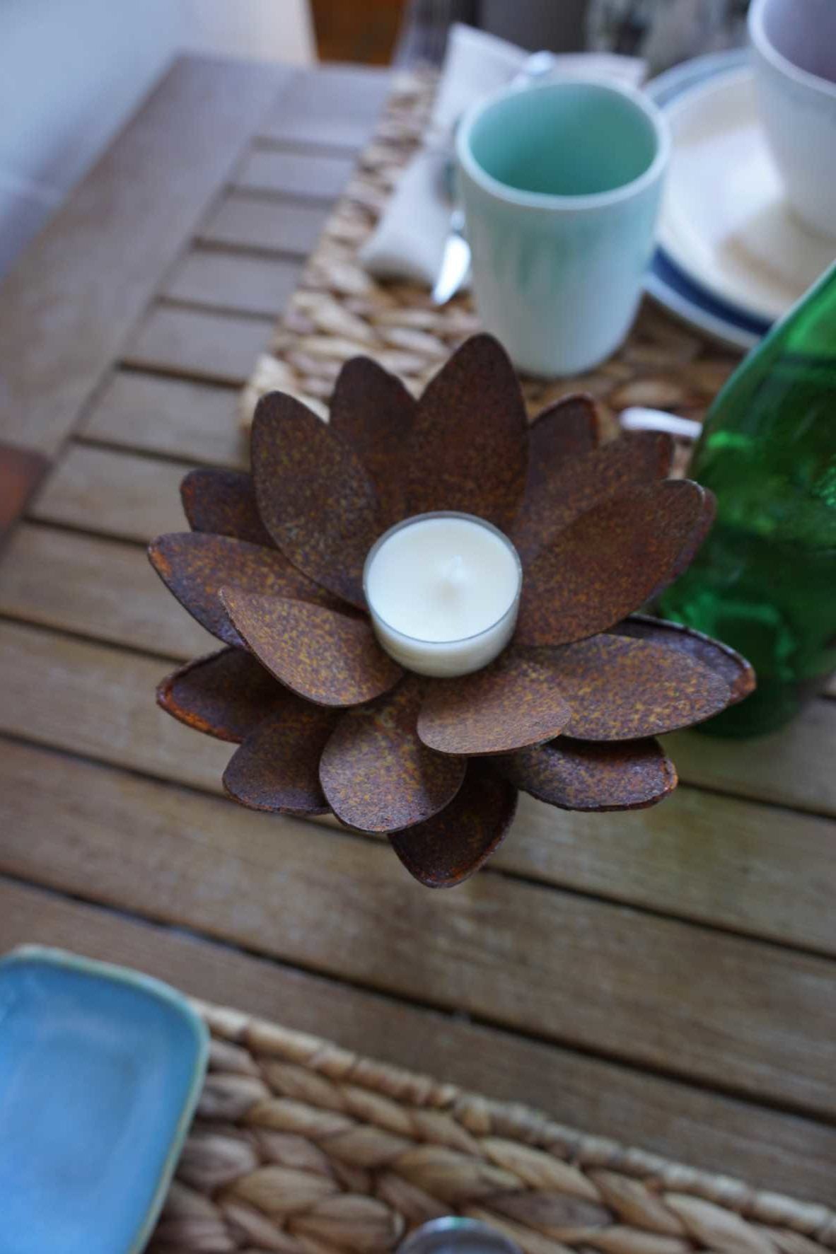 Water lily bloom for placing