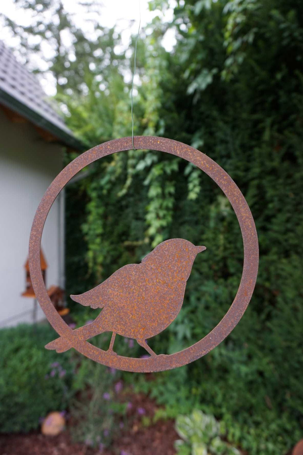 Bird in Ring "ready for take-off"