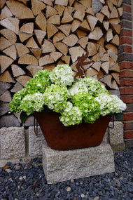 Planter with handle, set of 2