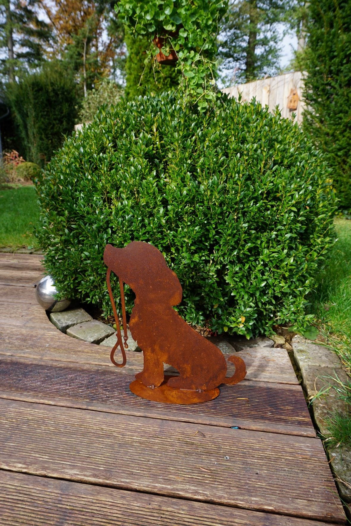 Dog "Rocki" 600