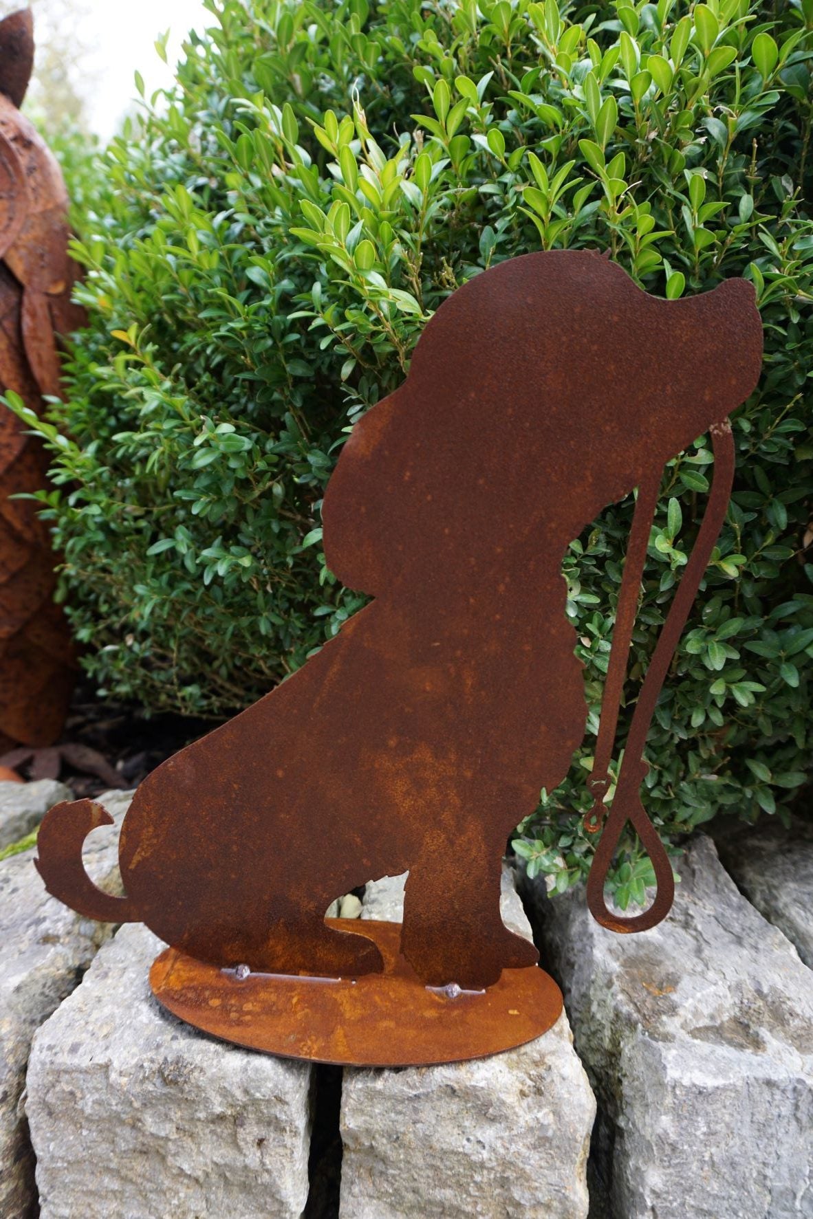 Dog "Rocki" 300