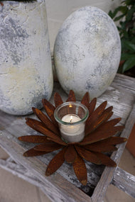 Chrysanthemen Blüte