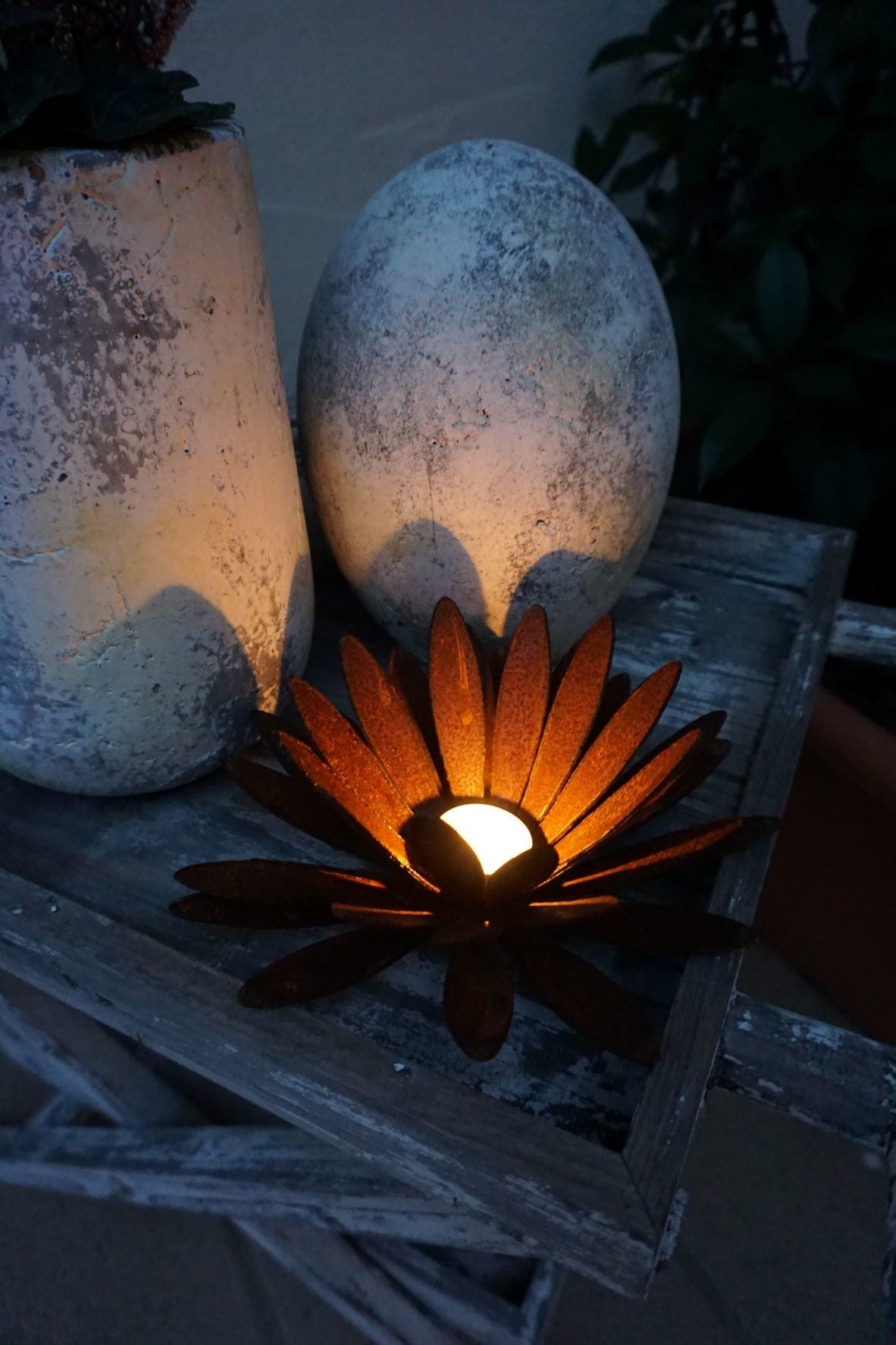 Chrysanthemen Blüte