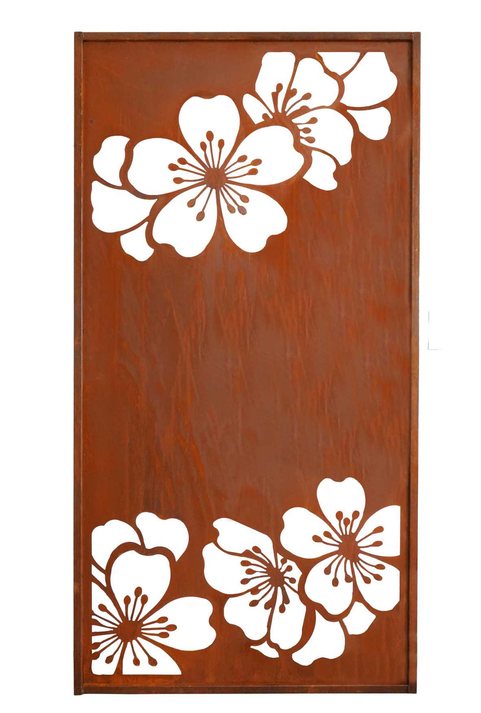 Parawand -Kirschblüte-