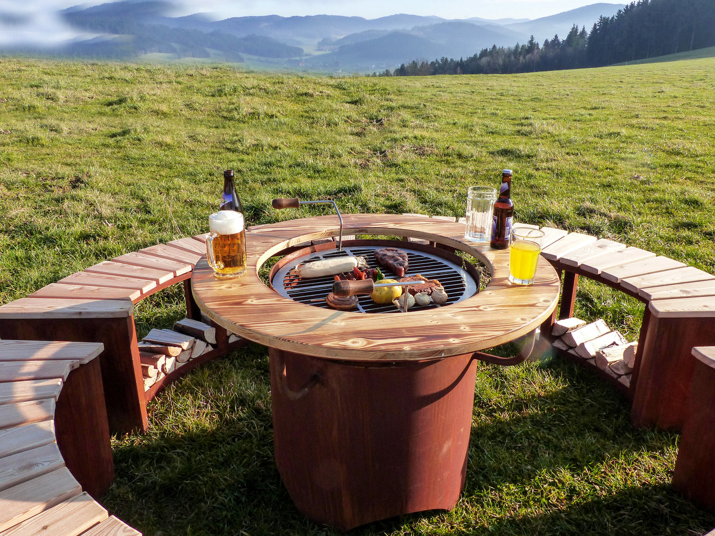 Grill/Feuerstelle -Freiburg-