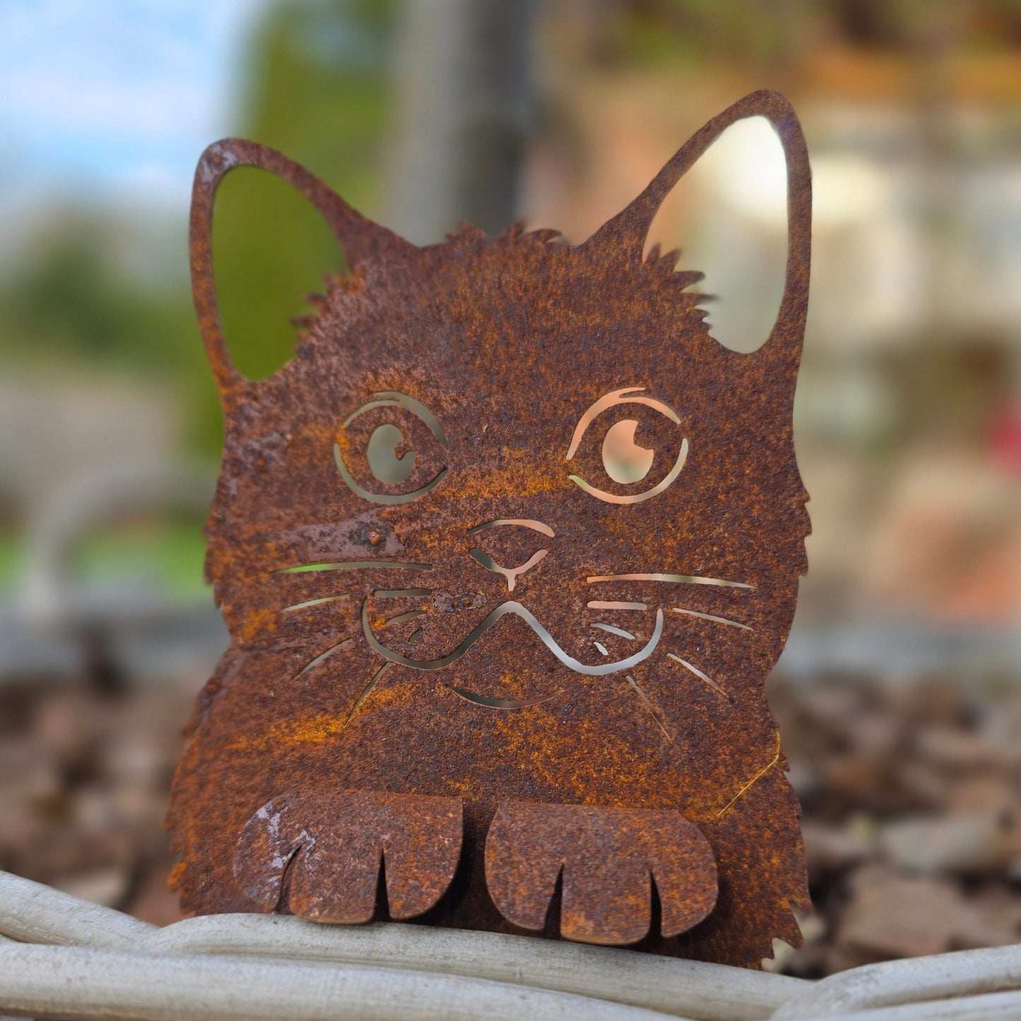 Katze Mona im Korb