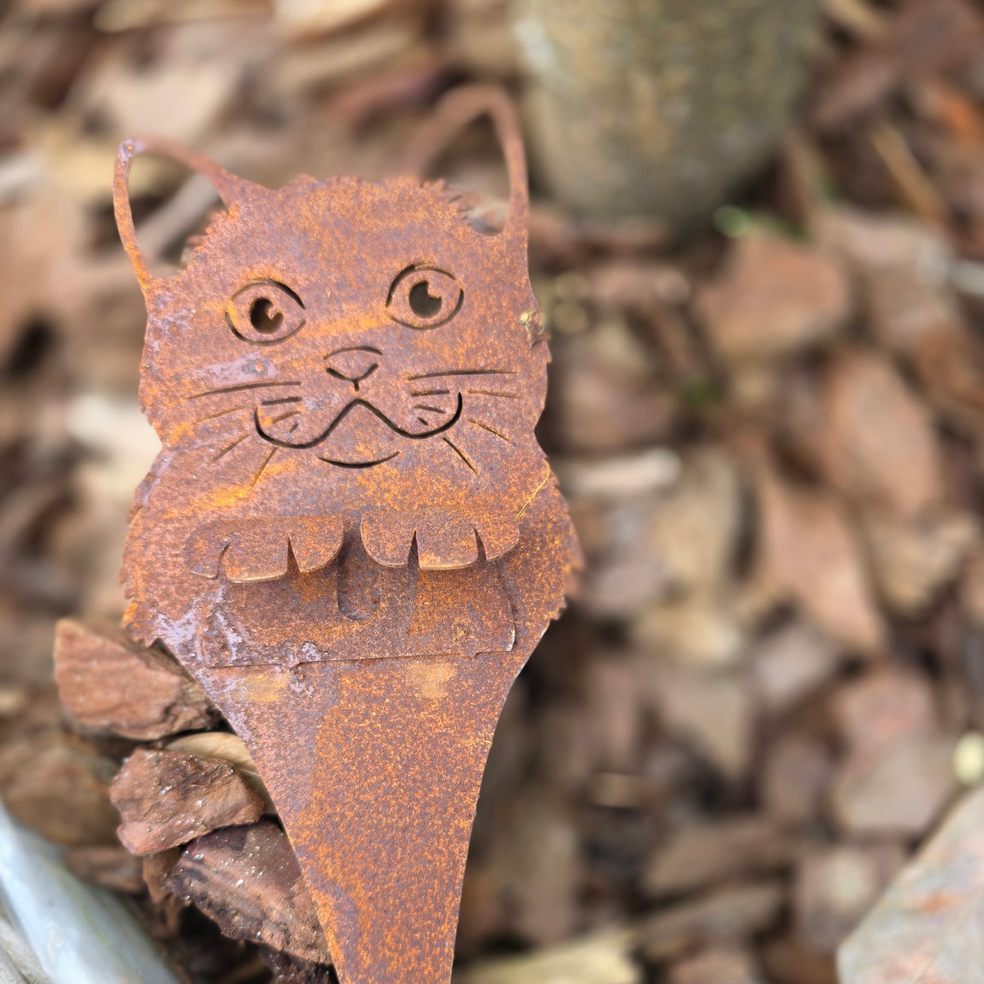 Katze Mona im Korb