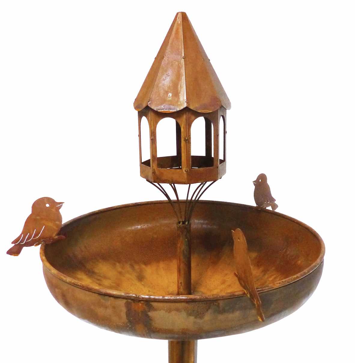 Vogeltränke -Tim-