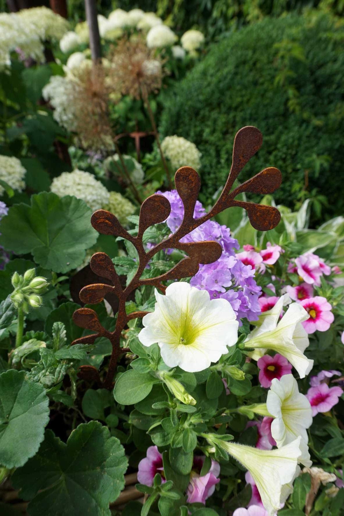Blätterzweig Safiore im Garten