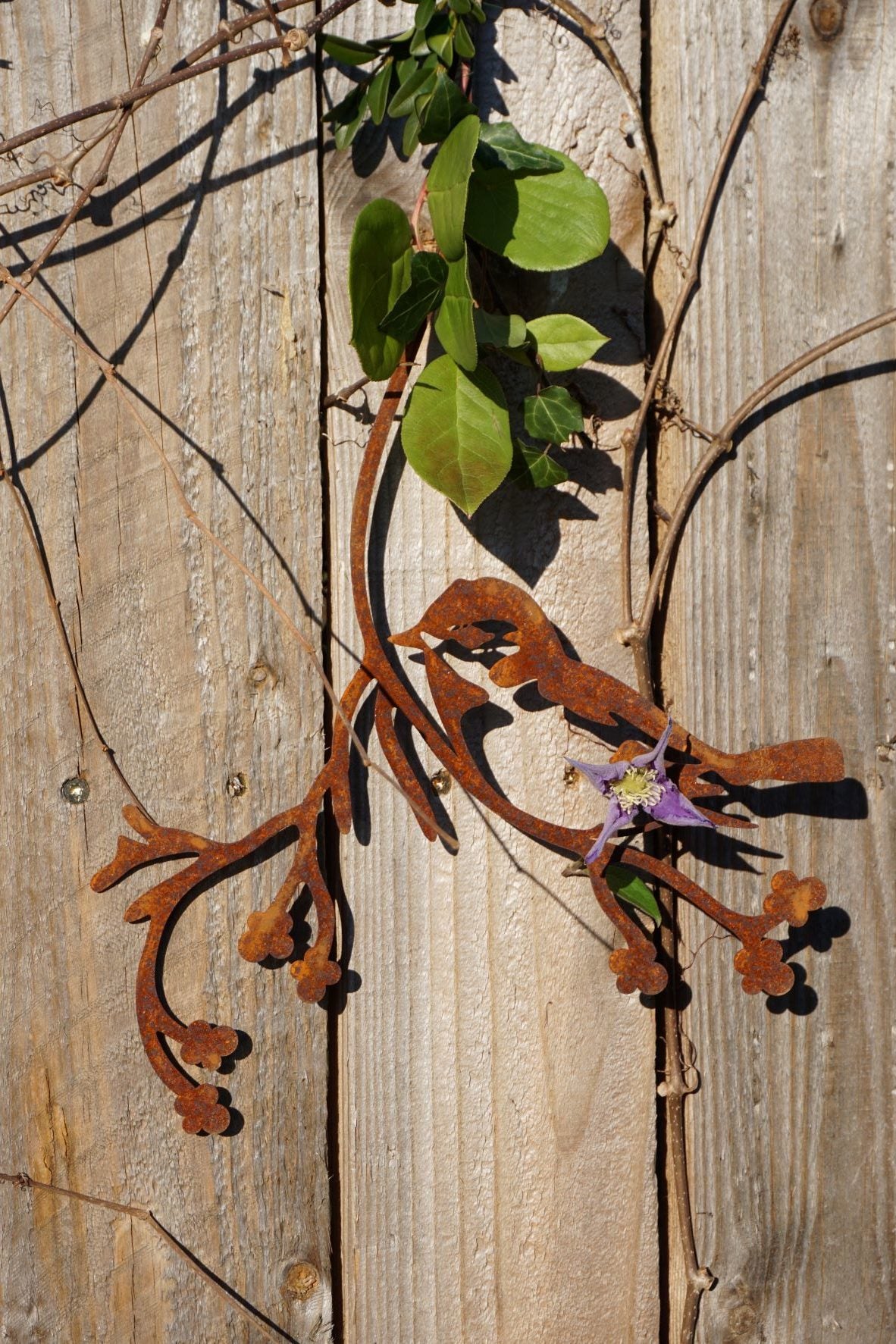 Bird "Flori" on a branch