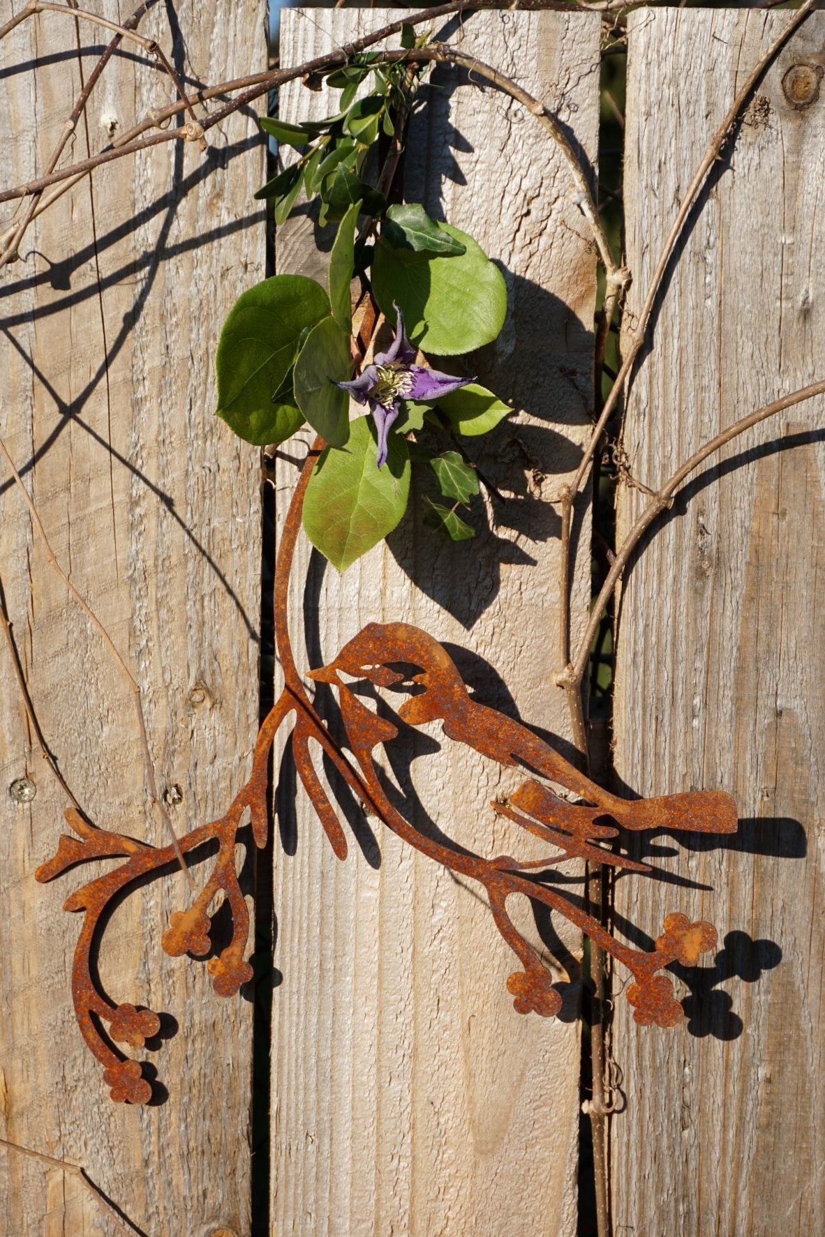 Bird "Flori" on a branch