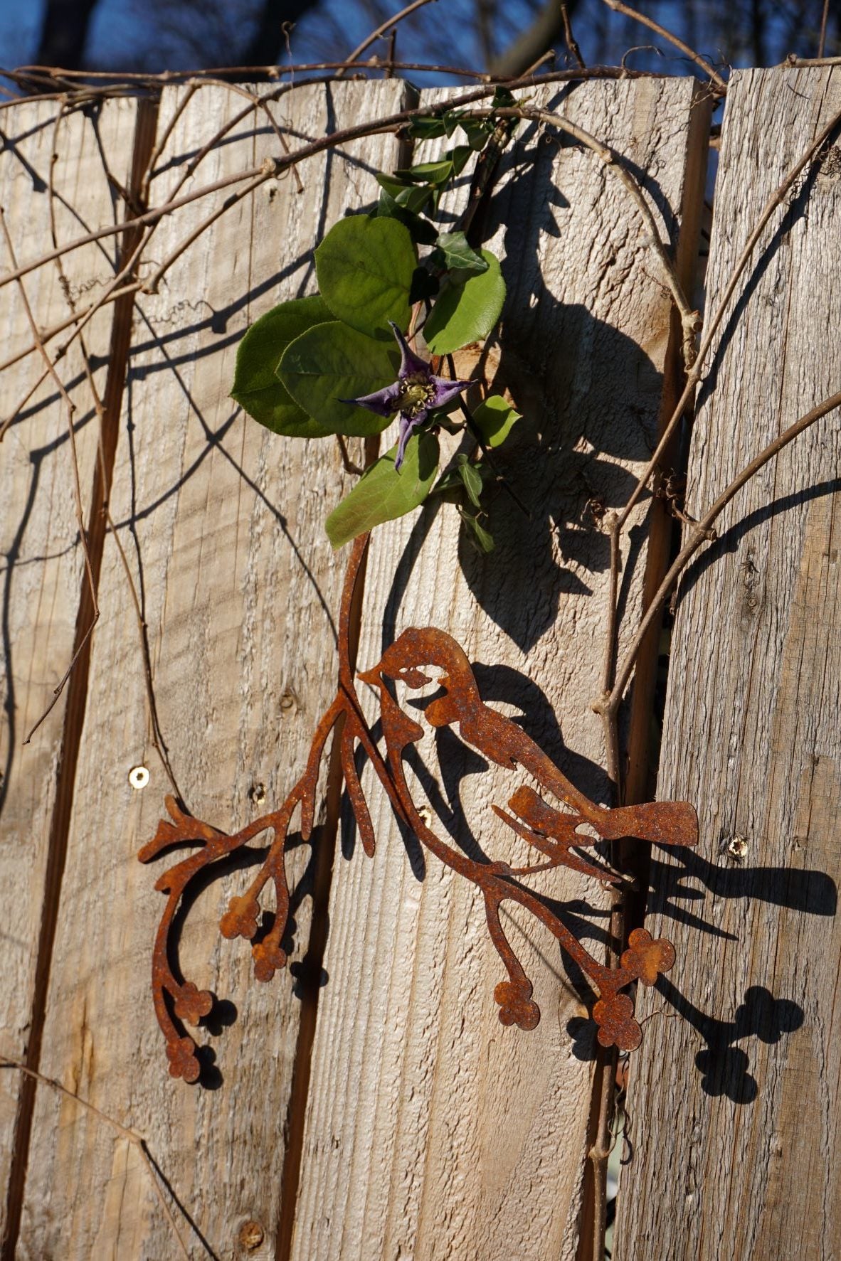 Bird "Flori" on a branch