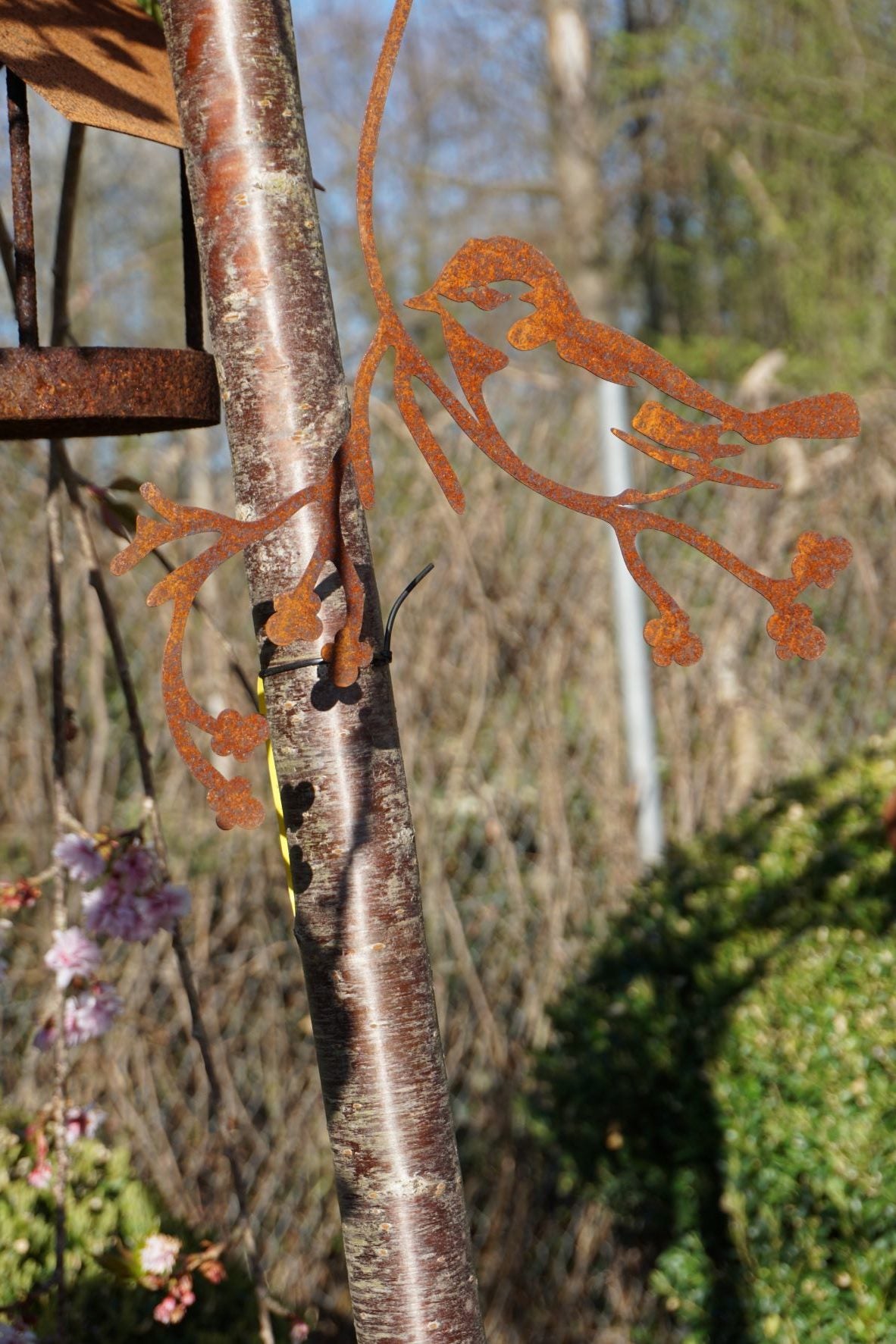 Bird "Flori" on a branch