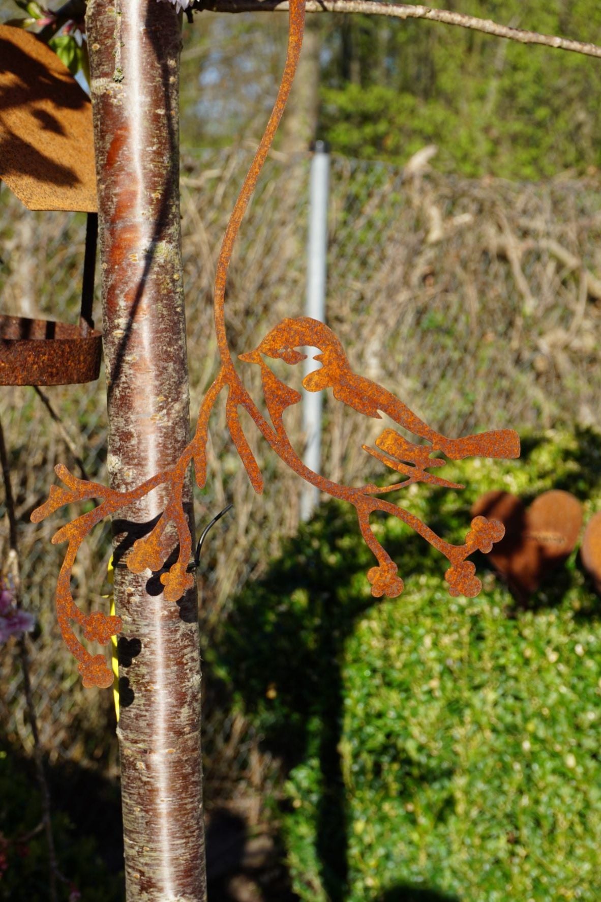 Bird "Flori" on a branch