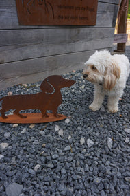Dachshund "Waldi"