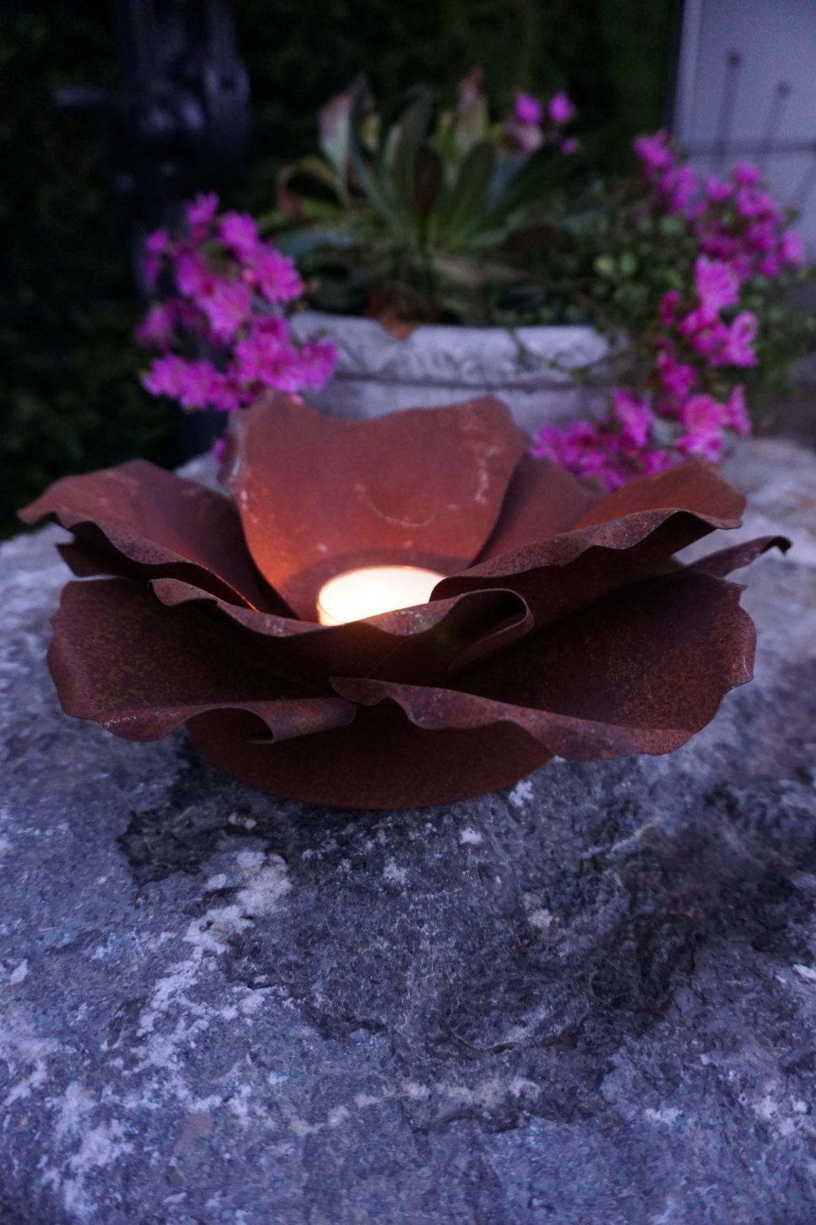 Blumenblüte auf Platte