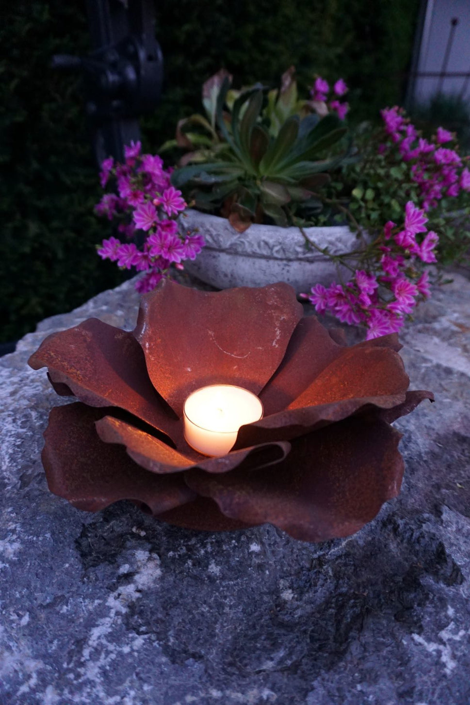 Blumenblüte auf Platte