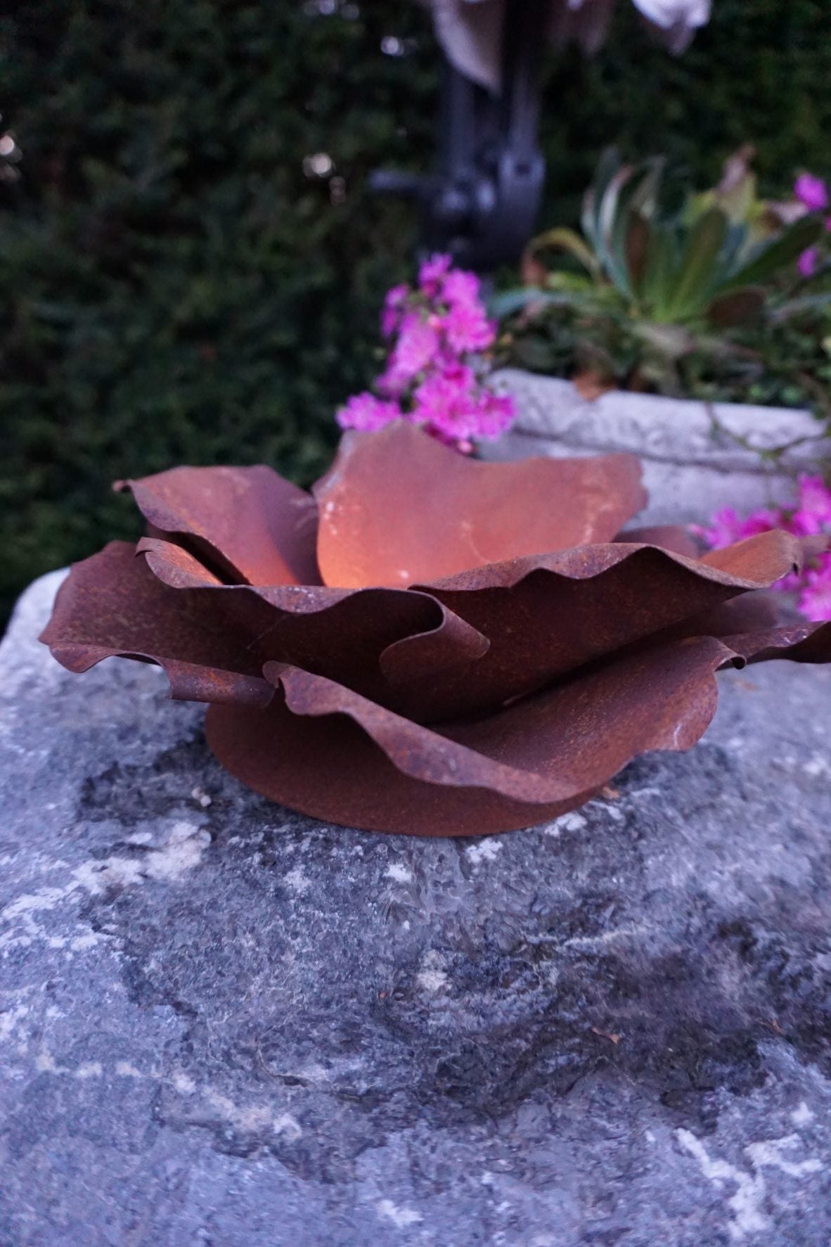 Blumenblüte auf Platte
