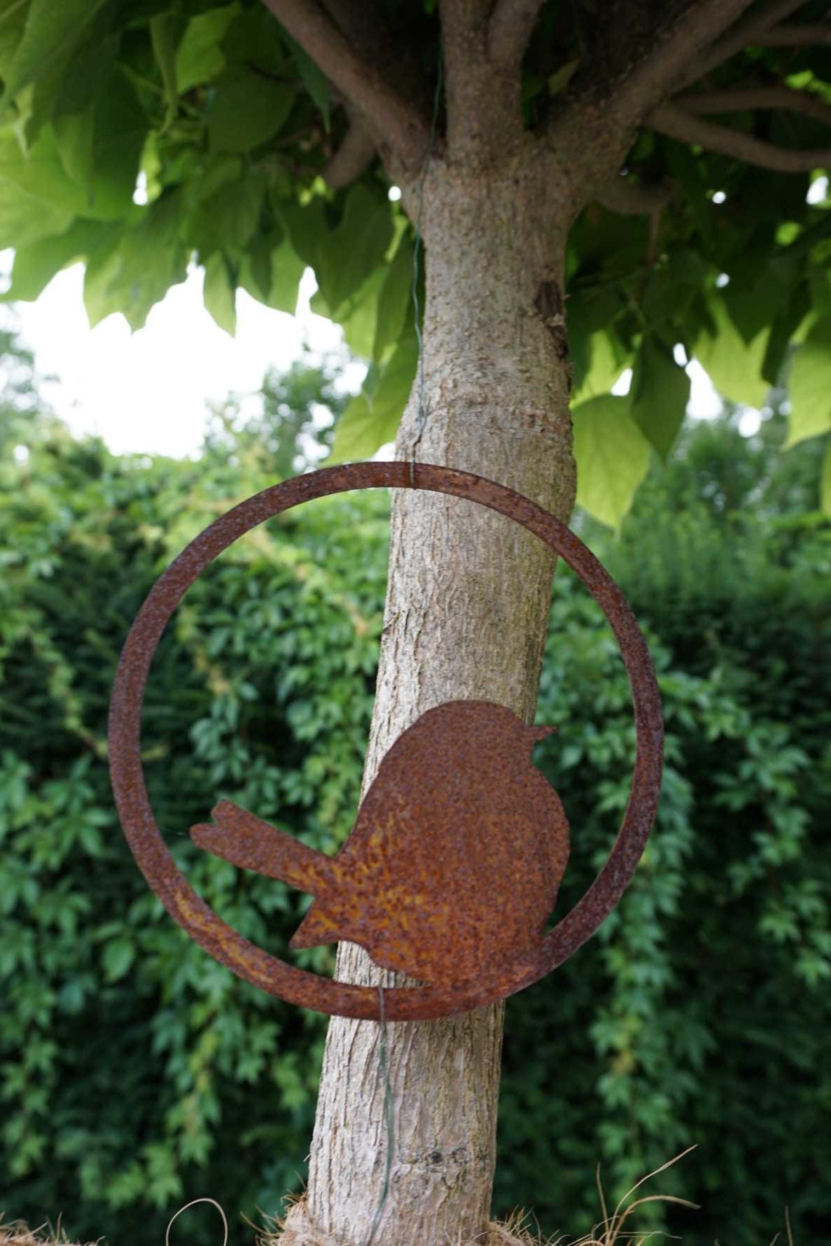 Vogel im Ring "sitzend"