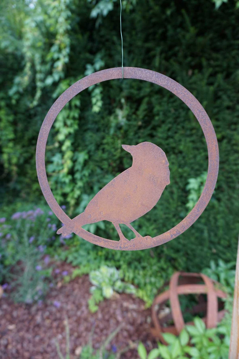 Bird in ring "looking backwards"