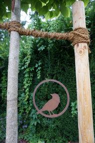 Bird in ring "looking backwards"