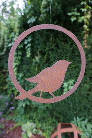 Bird in Ring "ready for take-off"