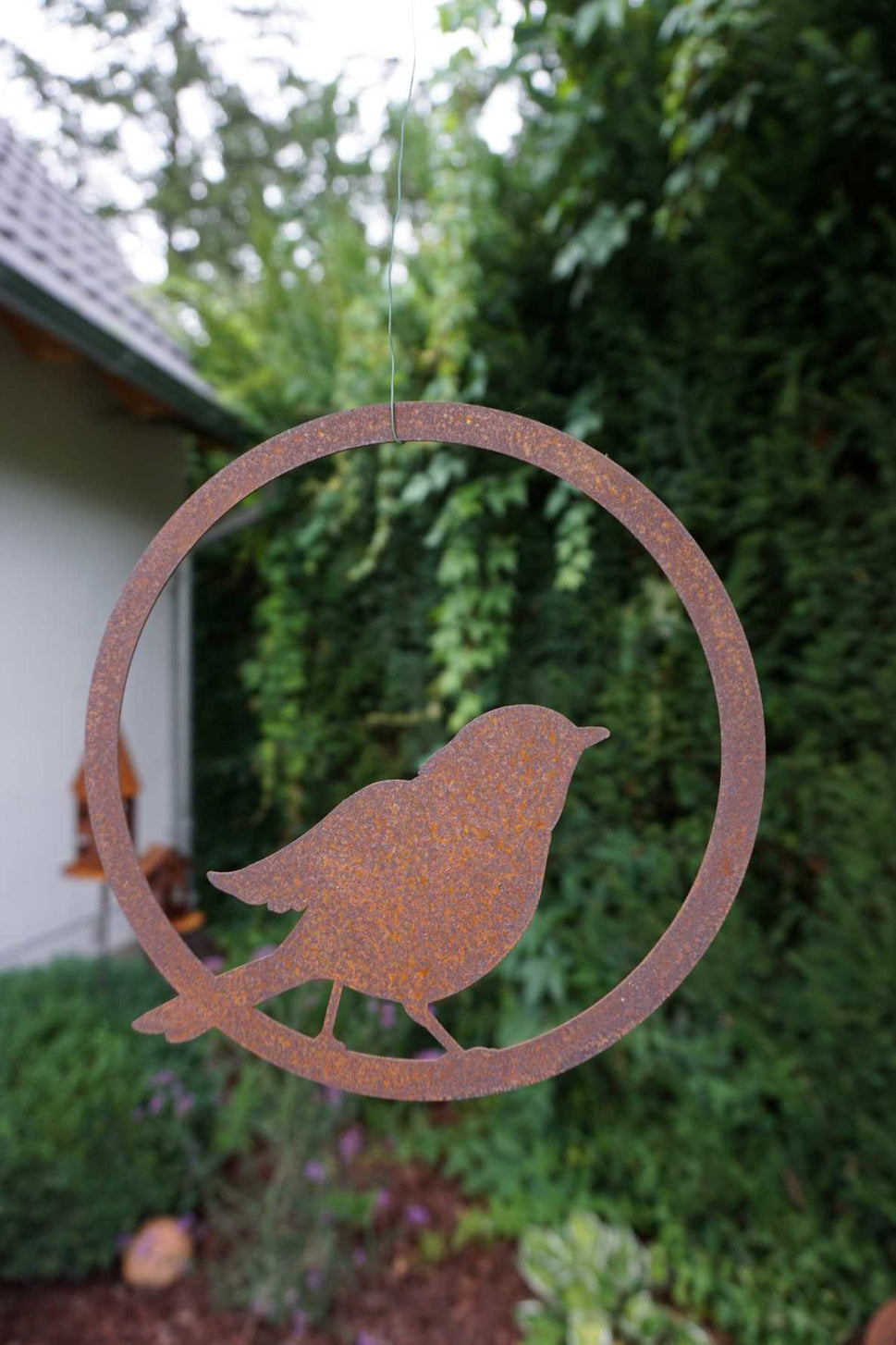 Bird in Ring "ready for take-off"