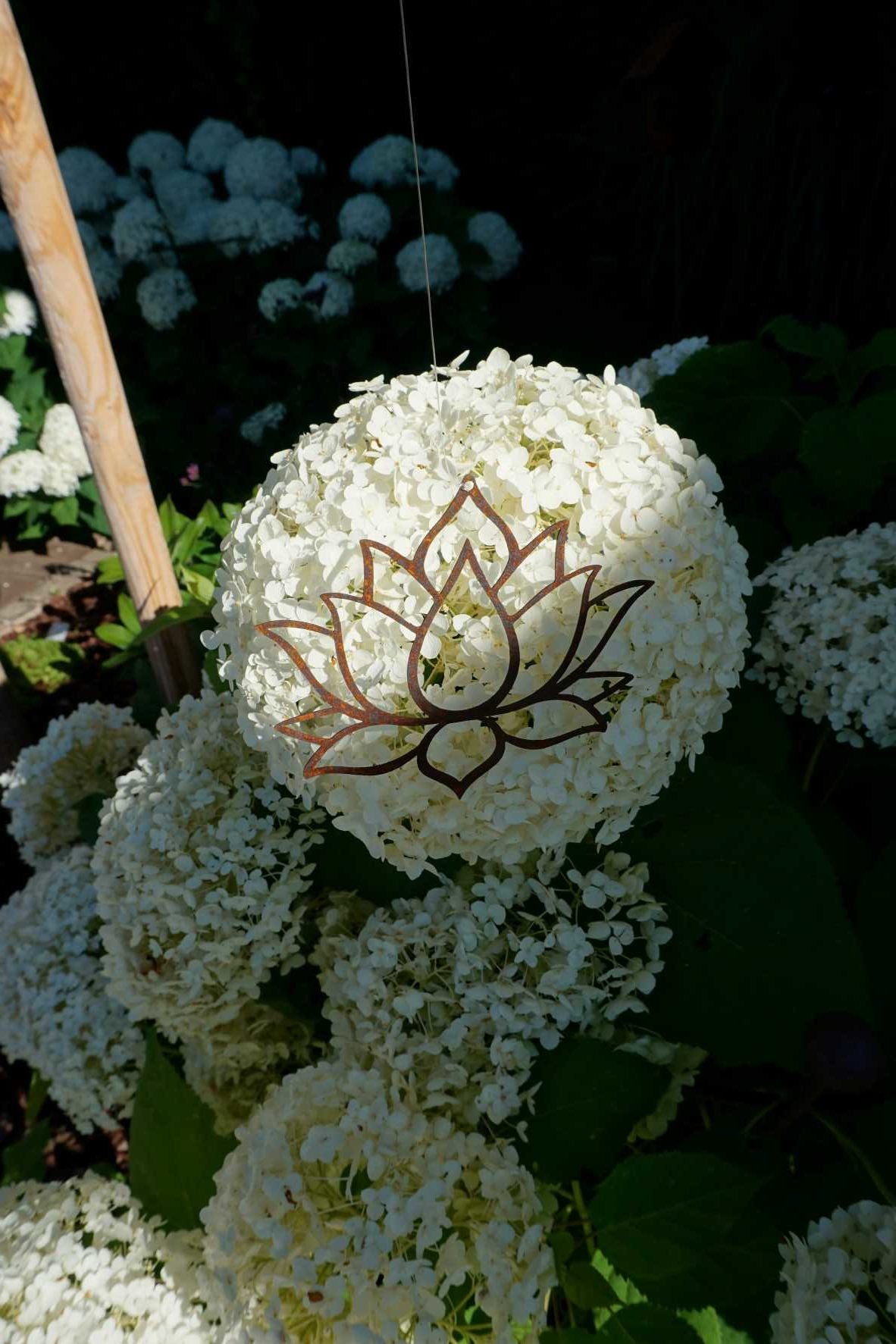 Lotus leaf