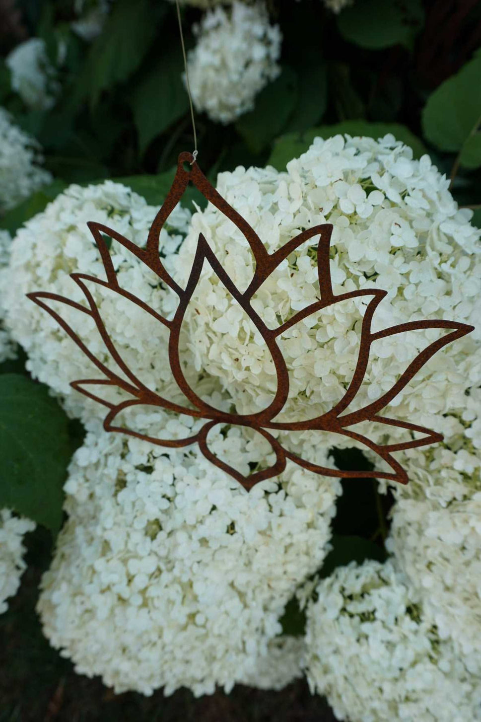 Lotus leaf