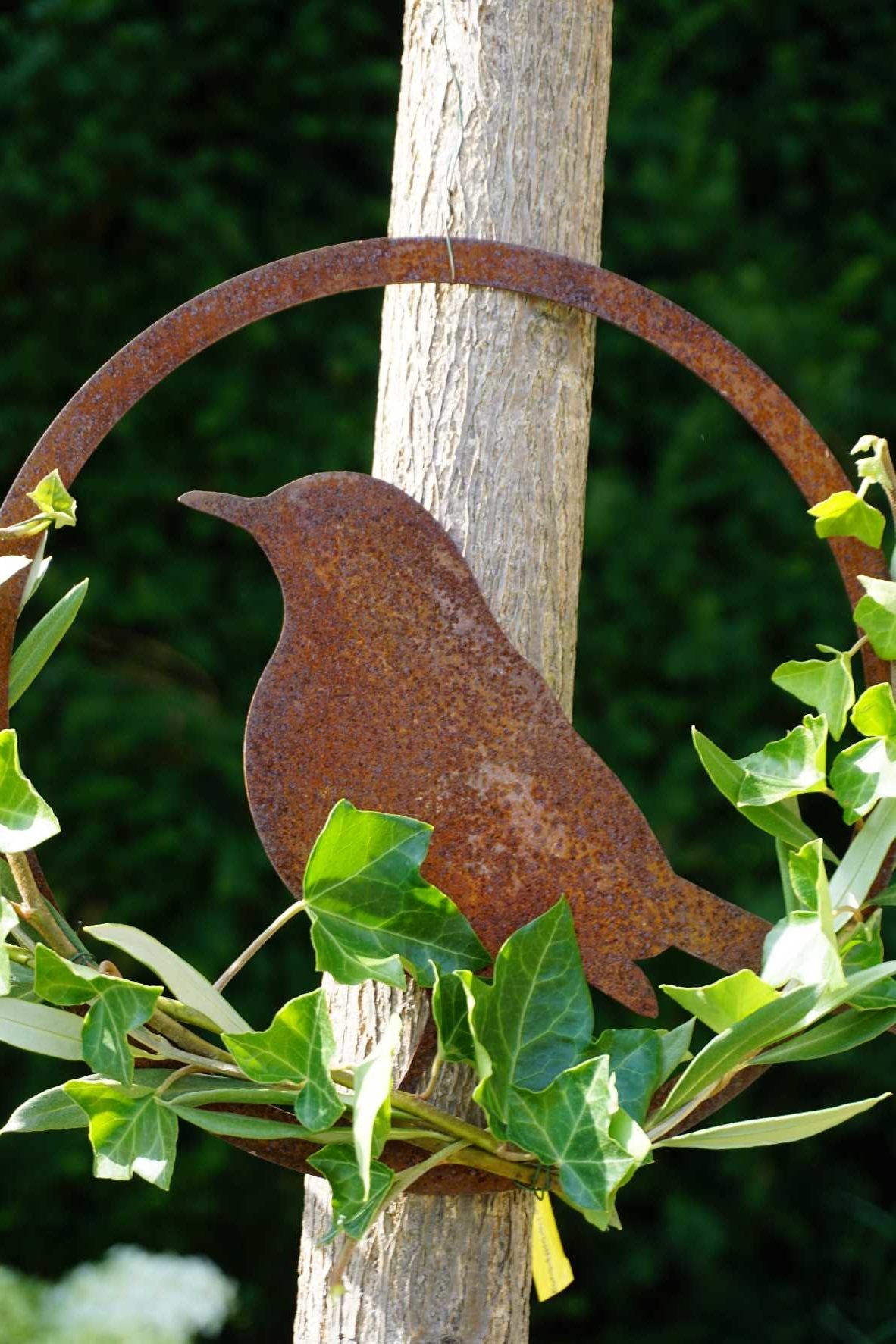 Vogel im Ring "Amsel"