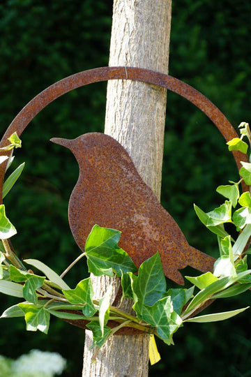 Vogel im Ring "Amsel"