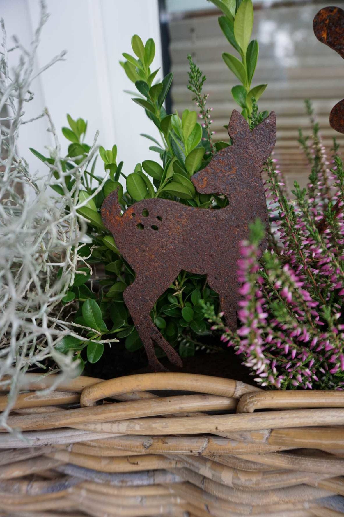 small fawn on a plate