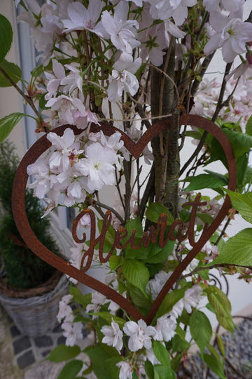 Heart "HOME"