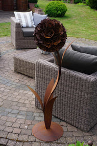 Pusteblume mit einer Blüte