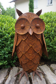 Owl 3D