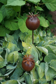 Mohnkapsel 40 cm