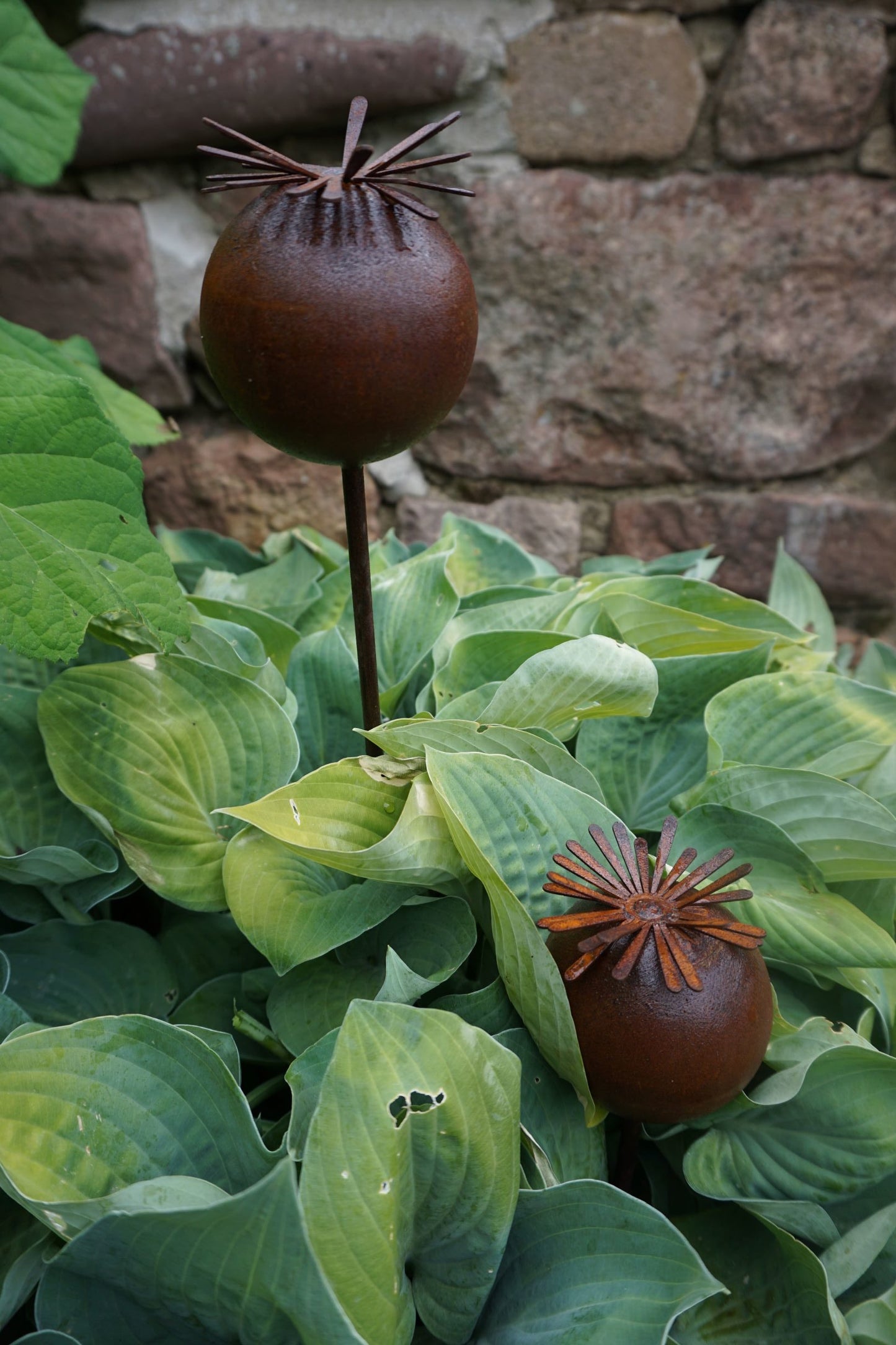 Edelrost Mohnkapsel Gartenstecker