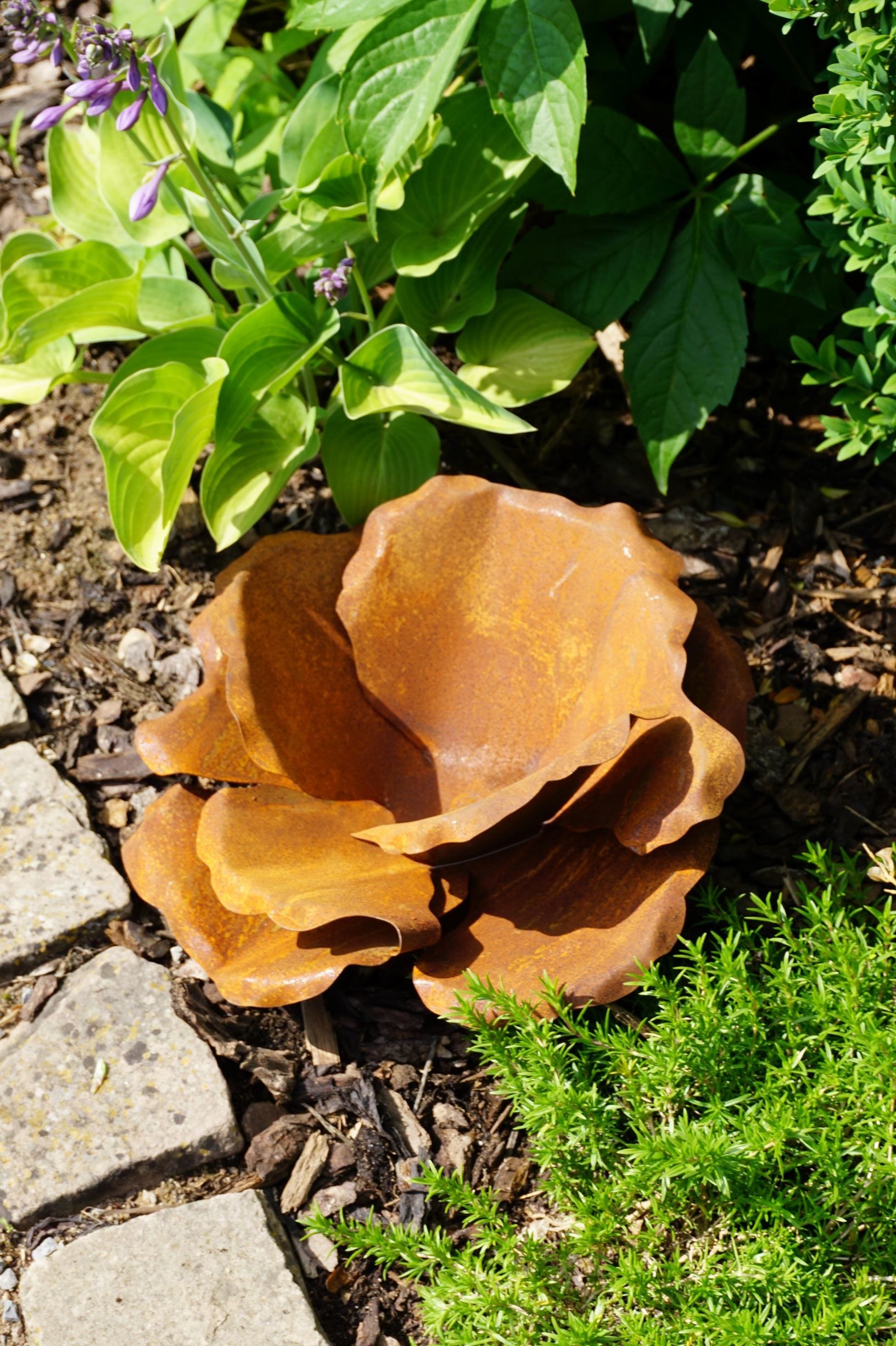 Blumenblüte auf Platte