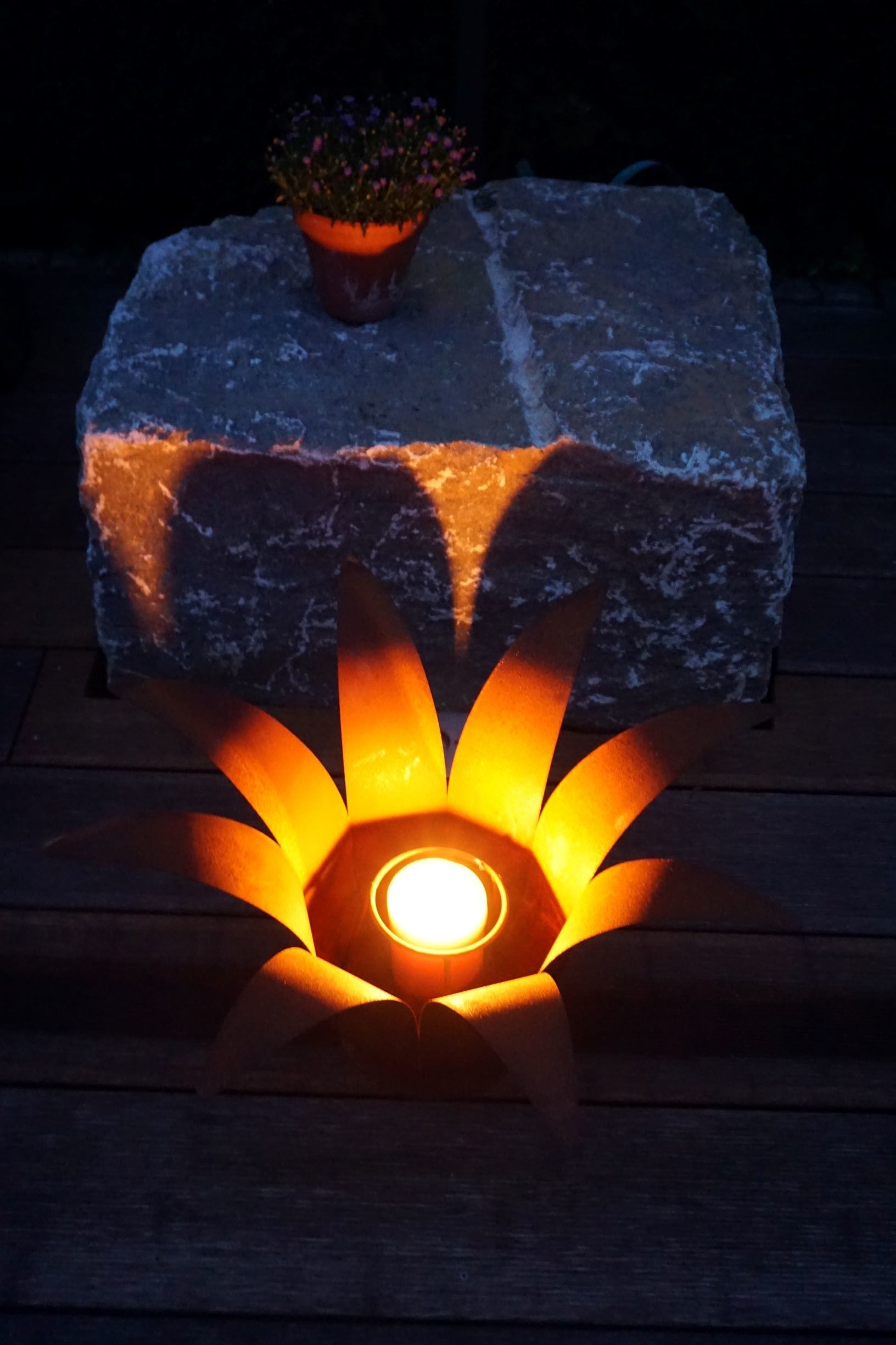 Feuerblume