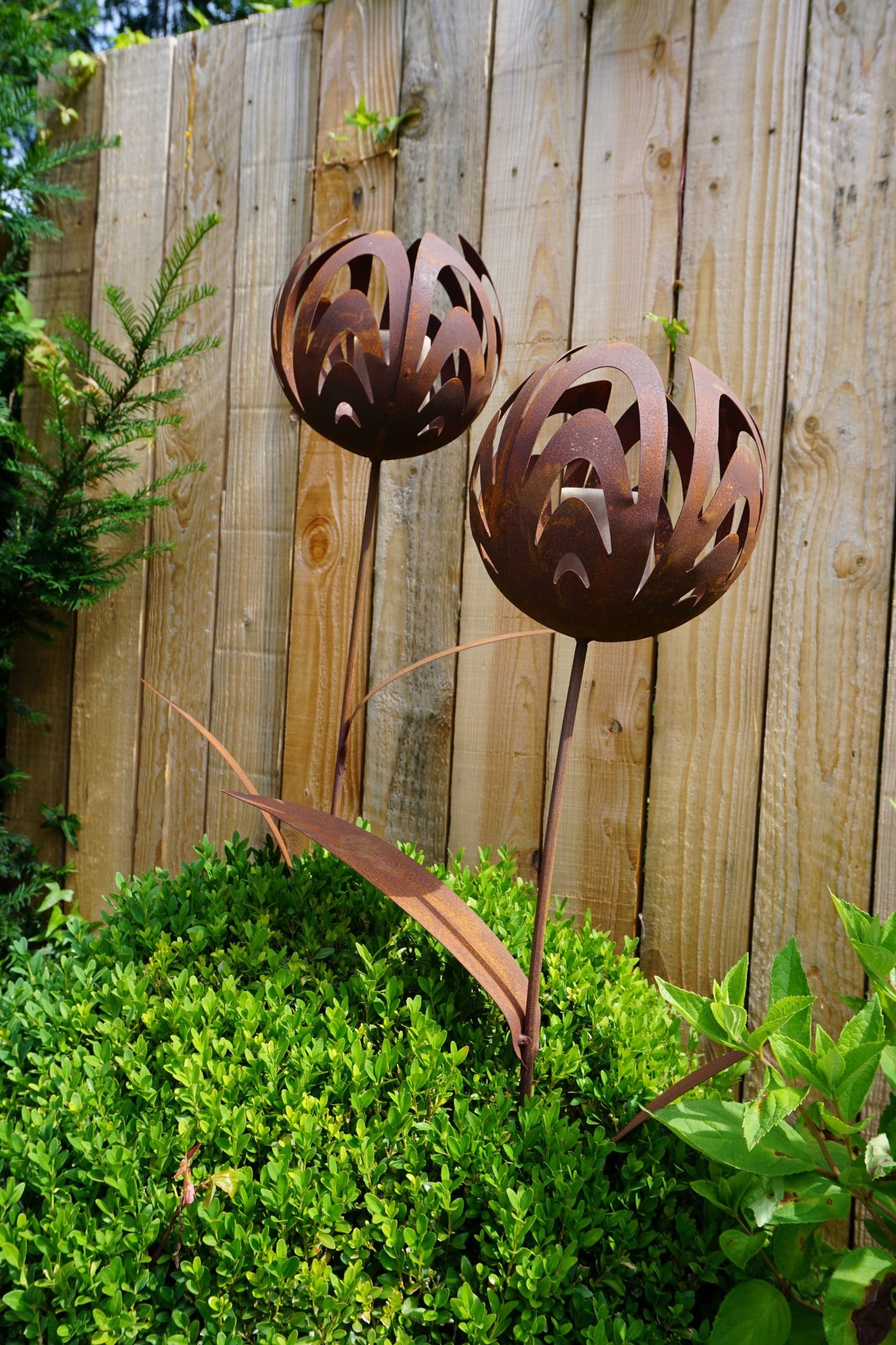 Edelrost Kelchblume Gartenstecker