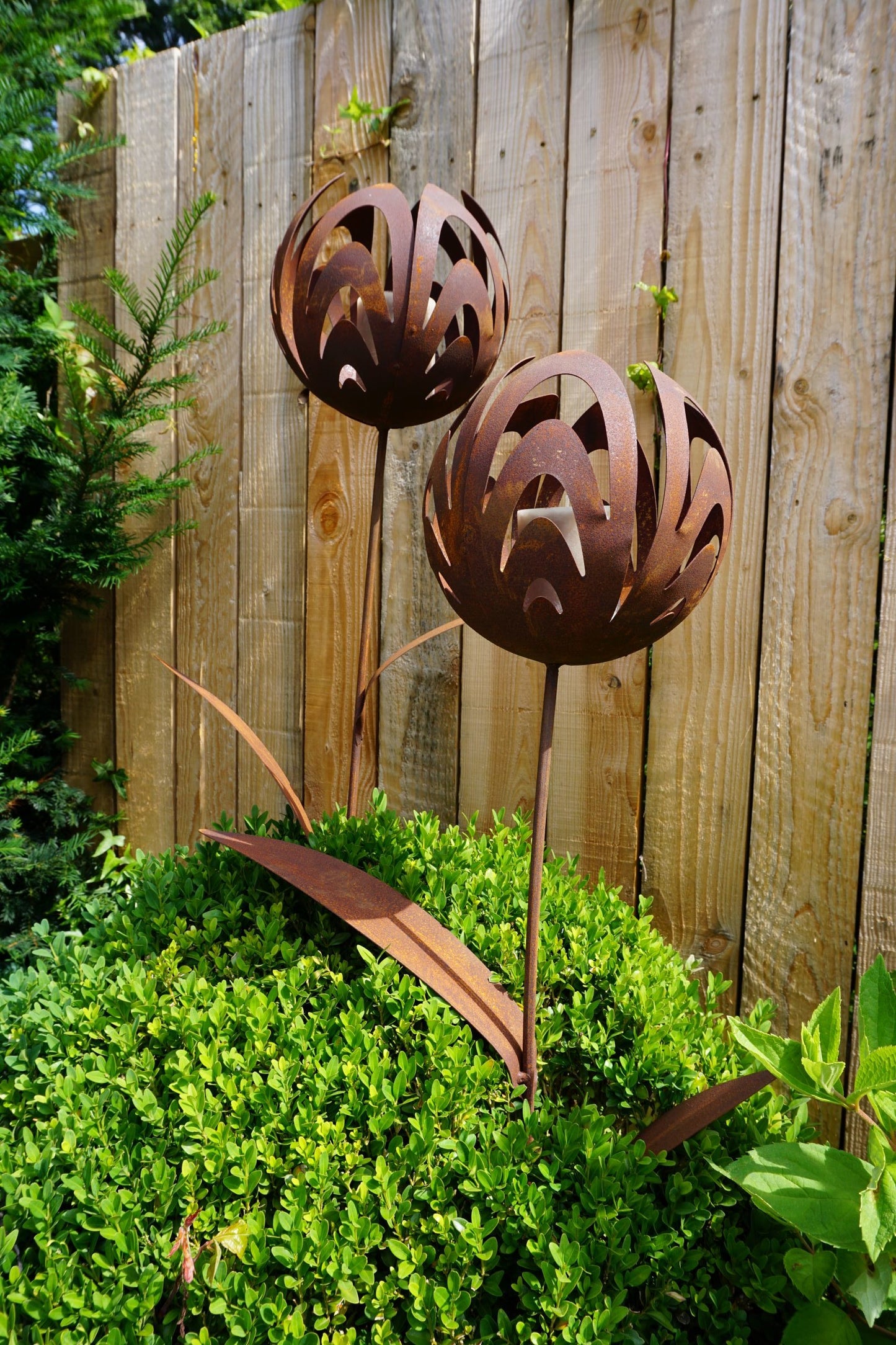 Edelrost Kelchblume Gartenstecker