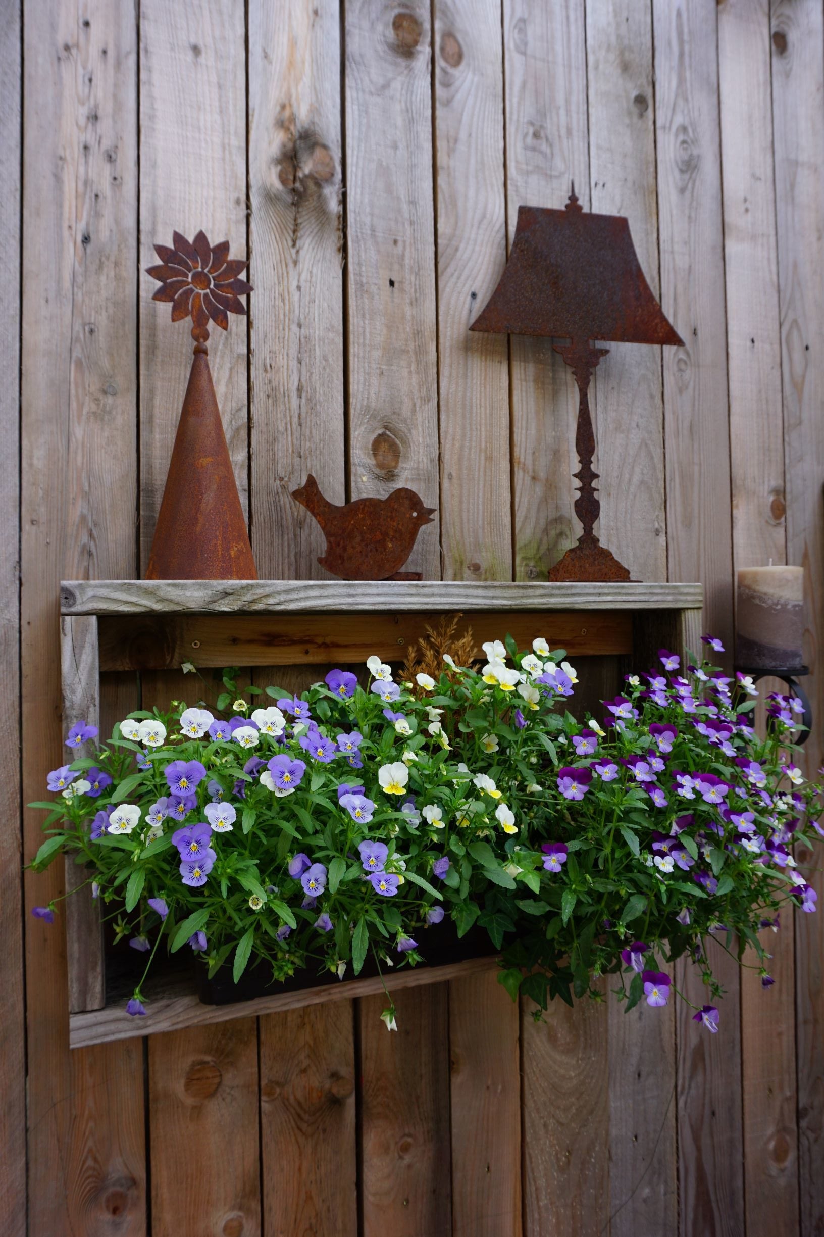 Fence Sitter Flower