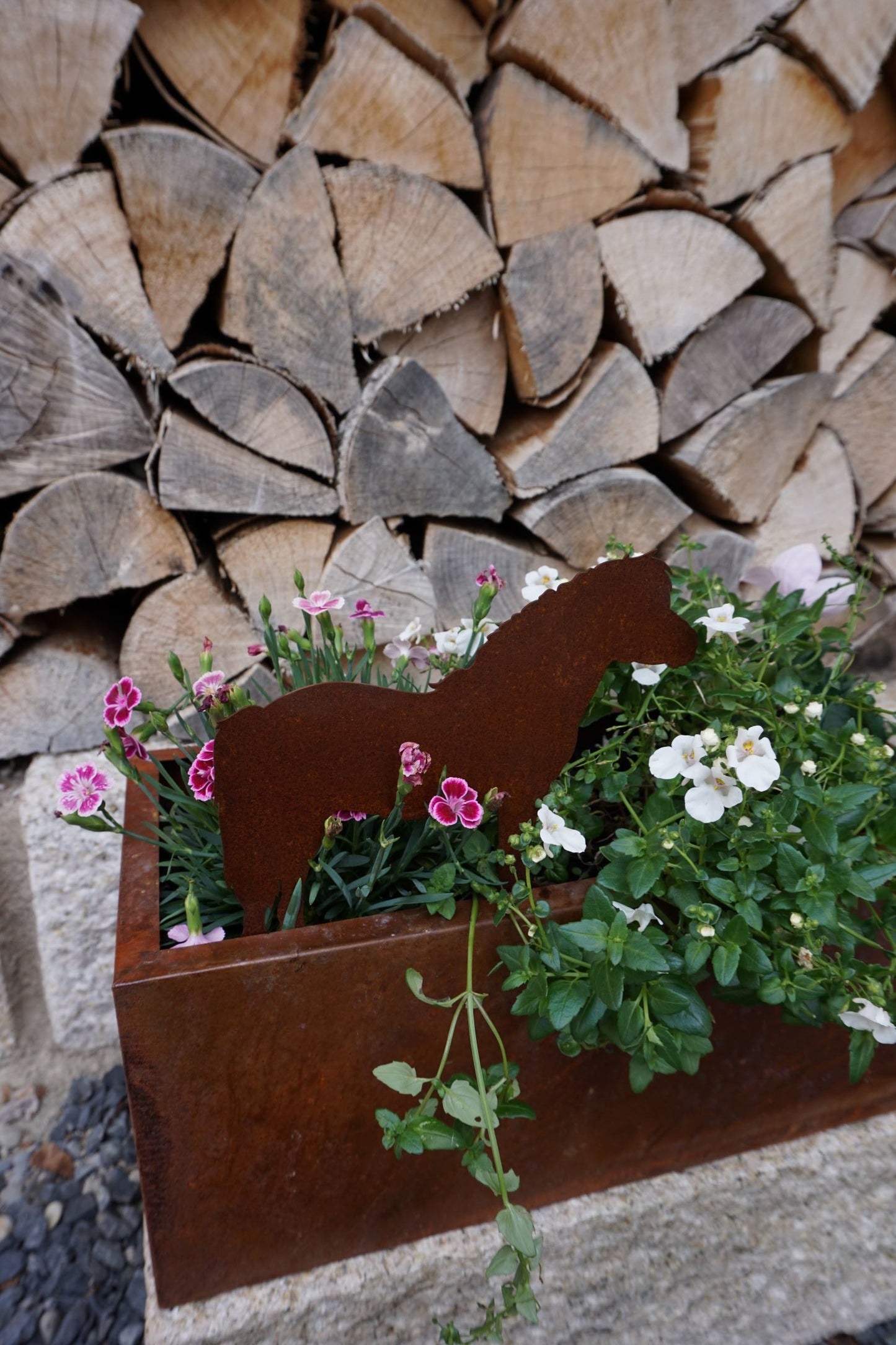 Edelrost Pony Ministecker