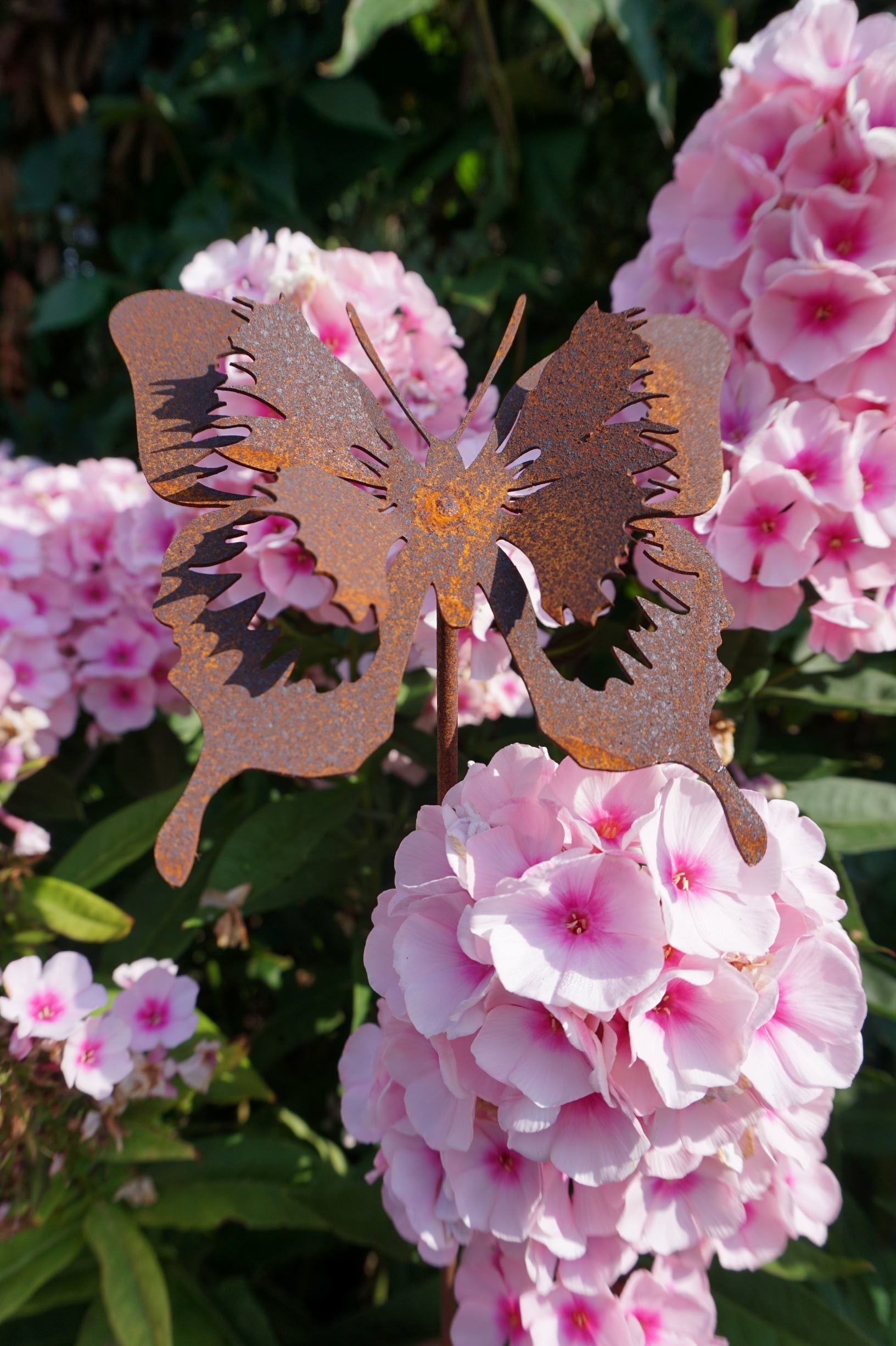 Butterfly Plug