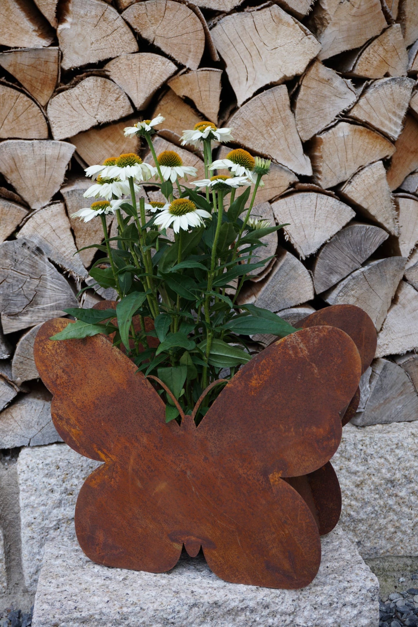 Edelrost Pflanzschale Schmetterling